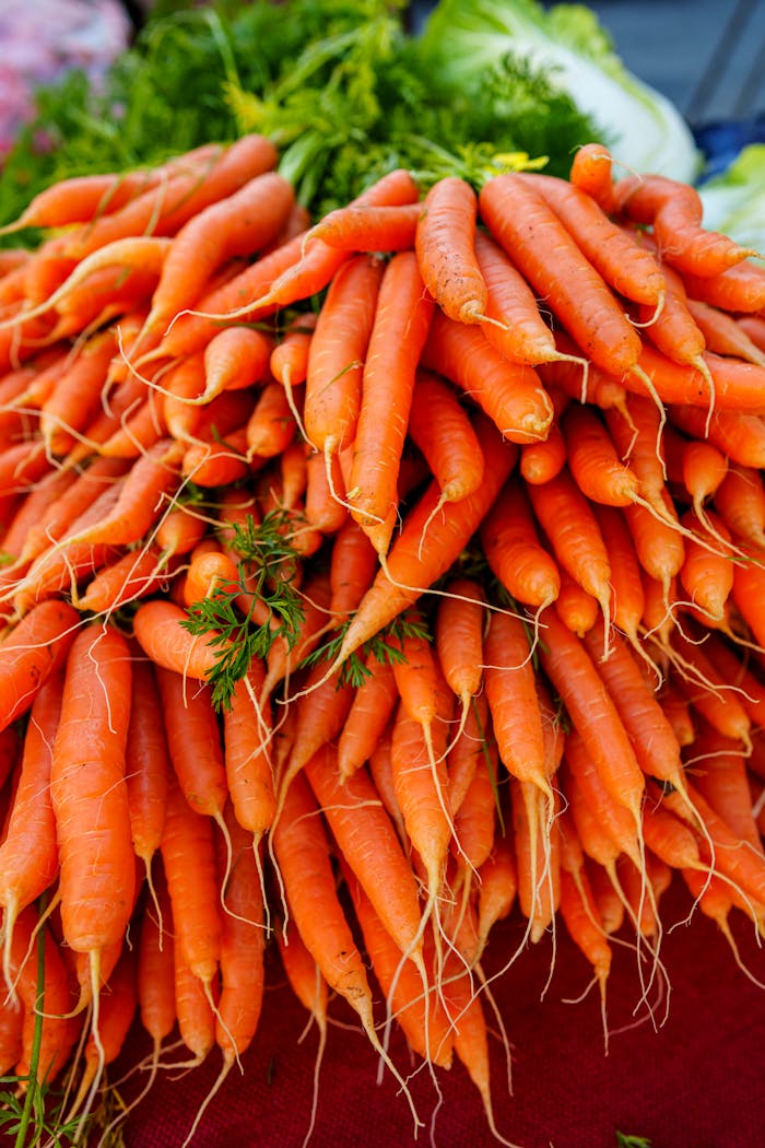 pexels photo 31752769